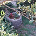 Vakantiehuis Gioia Christina Labin (Istria)